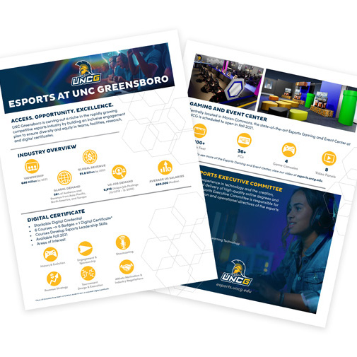 Esports fact sheet as an example of UC work available.